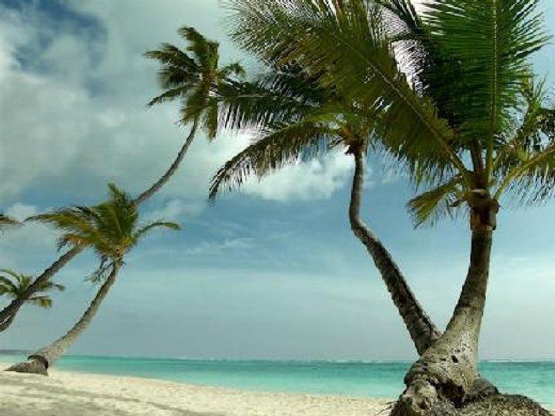 Grand Palladium Palace & Casino Station touristique Punta Cana